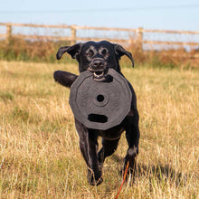 Load image into Gallery viewer, barbell plate tough dog toy
