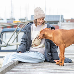 dog walking accessories - bum bag