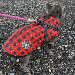 French bulldog winter fleece lined waterproof coat