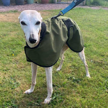 Load image into Gallery viewer, harness hole whippet coat
