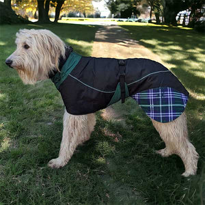 Felton - Sighthound Coat with Underbelly and Harness Hole