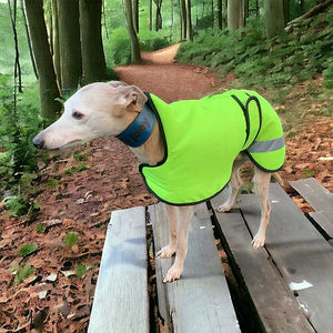 waterproof whippet greyhound coats