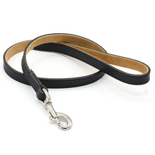 Load image into Gallery viewer, A black leather dog leash with a silver metal snap hook clasp, displayed on a clean white background.
