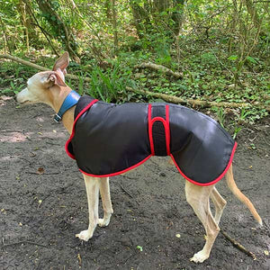 winter greyhound coat with harness hole zip