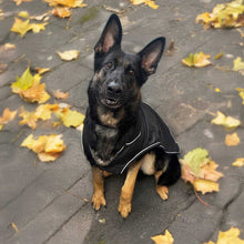 Load image into Gallery viewer, A black and tan German Shepherd dog wearing a black dog coat with white piping, sitting on a paved outdoor path scattered with yellow autumn leaves.
