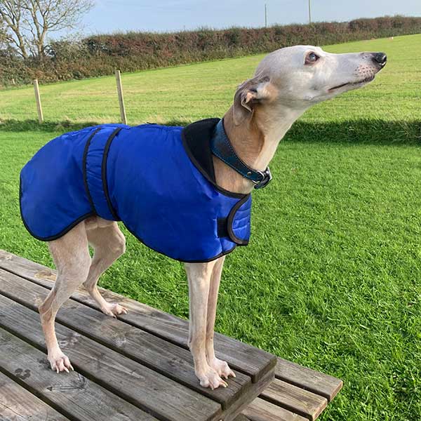 Vetra Warm Sighthound Coat with Zip Harness Hole