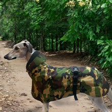 Load image into Gallery viewer, woodland camouflage greyhound coat
