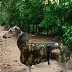 woodland camouflage greyhound coat