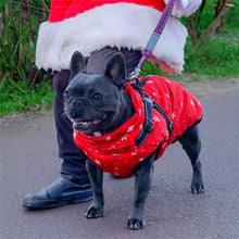 Load image into Gallery viewer, French Bulldog Christmas winter coat
