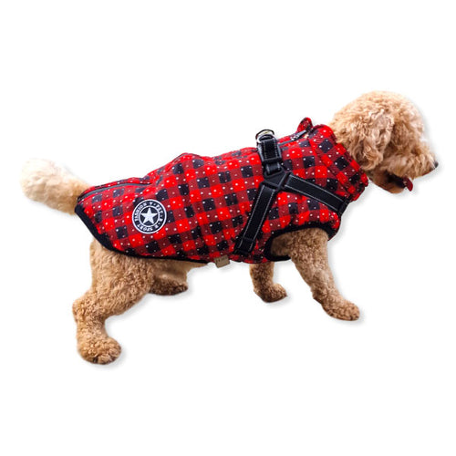 Check & Star Quilted Waterproof Dog Coat with Built in Harness