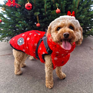 waterproof warm winter Christmas dog coat