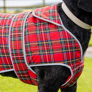 red tartan dog coat 