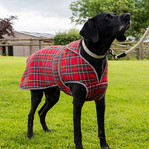 red tartan dog coat with harness hole