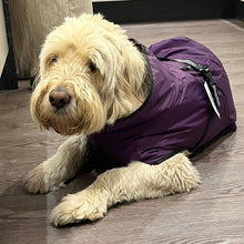Load image into Gallery viewer, DryDogs 3-in-1 Dog Coat for all Weather with Harness Hole
