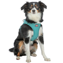 Load image into Gallery viewer, A black, white, and tan dog wearing a teal mesh harness with a small red TRAKR logo patch, photographed against a solid white background.
