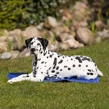 Load image into Gallery viewer, best dog cooling bed/mat. Ideal for warm weather. Reduces dogs temperature for comfort
