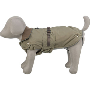 dachshund coat with underbelly protection