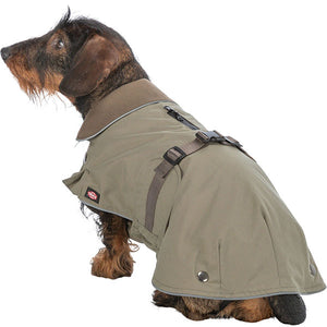 summer or winter waterproof dachshund coat (removeable lining)