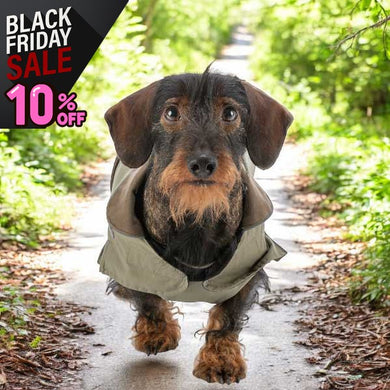 2-in-1 dachshund winter dog coat