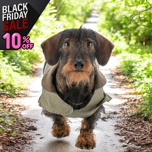 2-in-1 dachshund winter dog coat