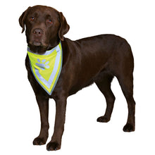 Load image into Gallery viewer, reflective safety dog bandana
