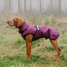 Load image into Gallery viewer, 3-in-1 Dog Coat
