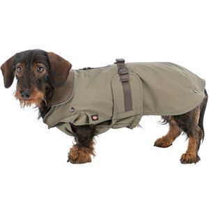 long haired dachshund coat