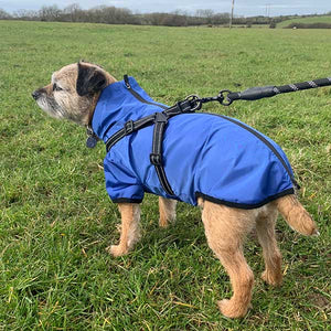 blue dog coat with built in harness