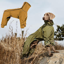 Load image into Gallery viewer, Dog wearing a green raincoat standing on a rock with another raincoat hanging above.
