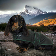Load image into Gallery viewer, best dog coats for dachshunds
