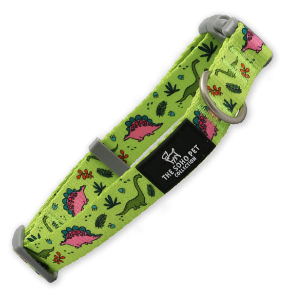 dinosaur dog collars and leads