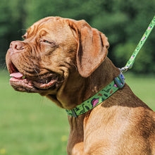 Load image into Gallery viewer, dinosaur nylon dog collar and lead
