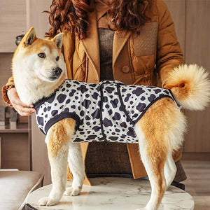 cow print dog recovery suit for post surgery