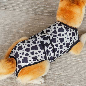 vet suit for dogs