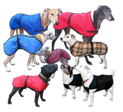 the trendy whippet, greyhound, sighthound and whippet coats for all weathers and seasons