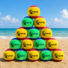 Load image into Gallery viewer, Pyramid of colorful dog toys with 'DryDog' branding on a beach.
