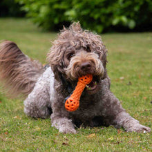 Load image into Gallery viewer, tough floating dumbell dog toy
