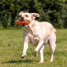 Load image into Gallery viewer, tough floating dumbell dog toy
