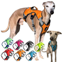 Load image into Gallery viewer, best greyhound whippet harness
