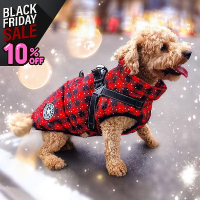 waterproof Christmas dog coat