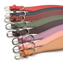 Load image into Gallery viewer, whippet collars fully stitched

