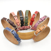 Load image into Gallery viewer, whippet collars in leather with suede backing and padded for comfort
