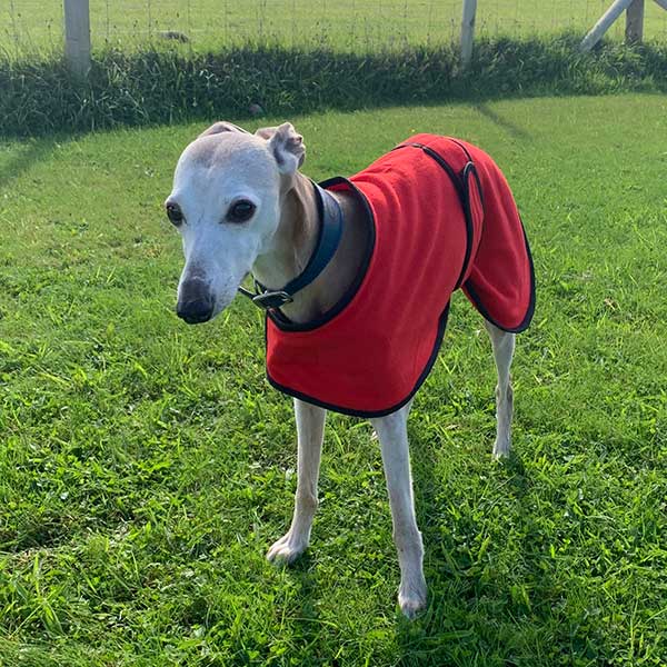 Sighthound House/Kennel Fleece Coat