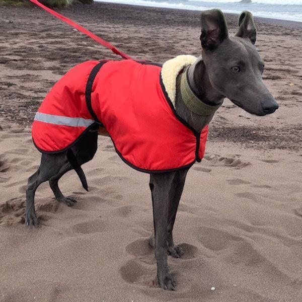 Sherpa Fleece-Lined Sighthound Coat with Harness Hole No Velcro