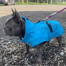Load image into Gallery viewer, french bull dog waterproof coat
