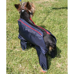 complete coverage dog coat small