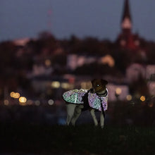Load image into Gallery viewer, Limoux - Lightweight Rainbow Reflective Dog Coat
