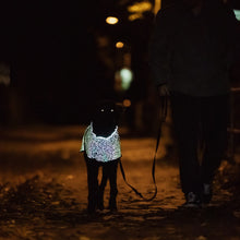 Load image into Gallery viewer, Limoux - Lightweight Rainbow Reflective Dog Coat
