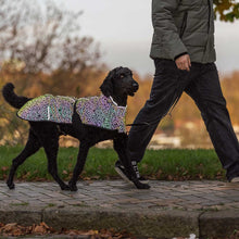Load image into Gallery viewer, Limoux - Lightweight Rainbow Reflective Dog Coat
