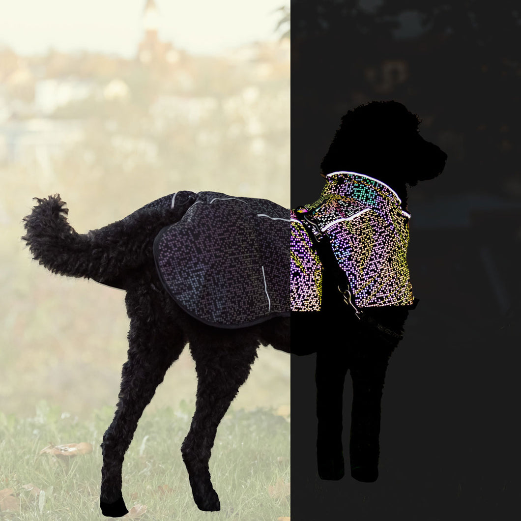 Limoux - Lightweight Rainbow Reflective Dog Coat